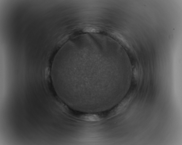 X0000093170322200710101217