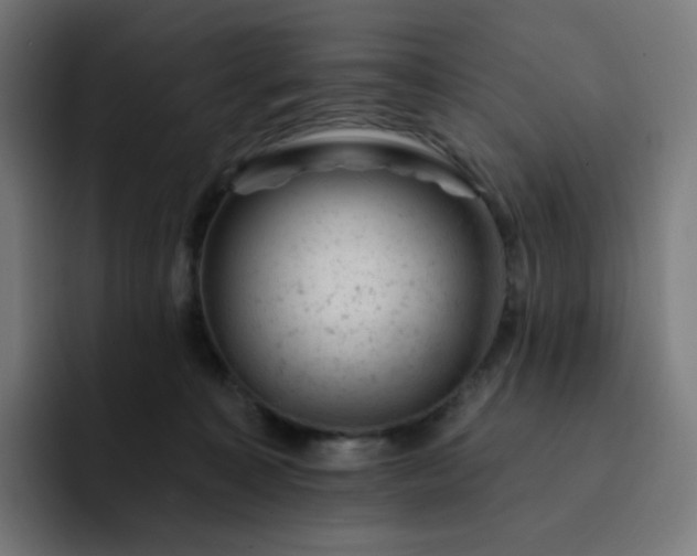 X0000093170323200710101217