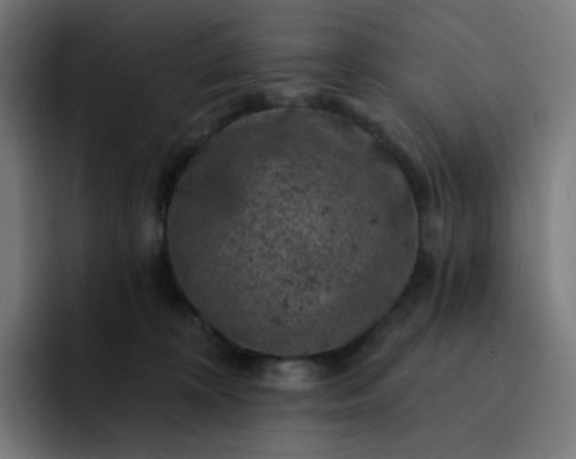 X0000093170324200710101217