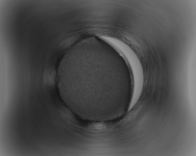 X0000093170325200710101217