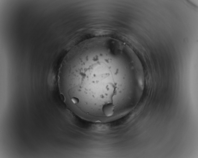 X0000093170327200710101217