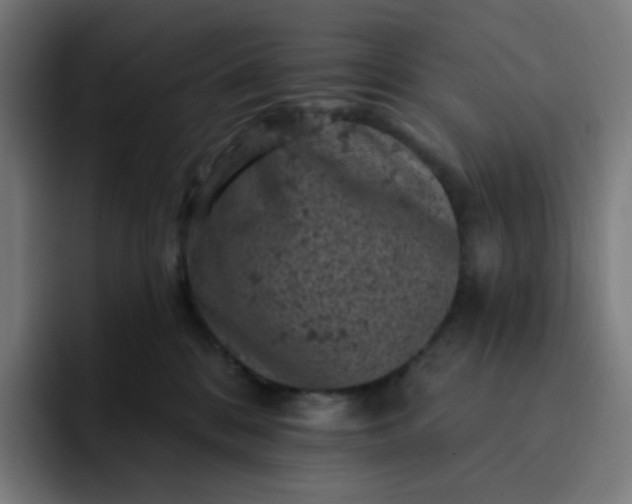 X0000093170328200710101217