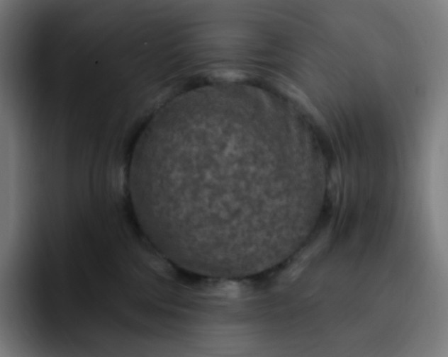 X0000093170330200710101217