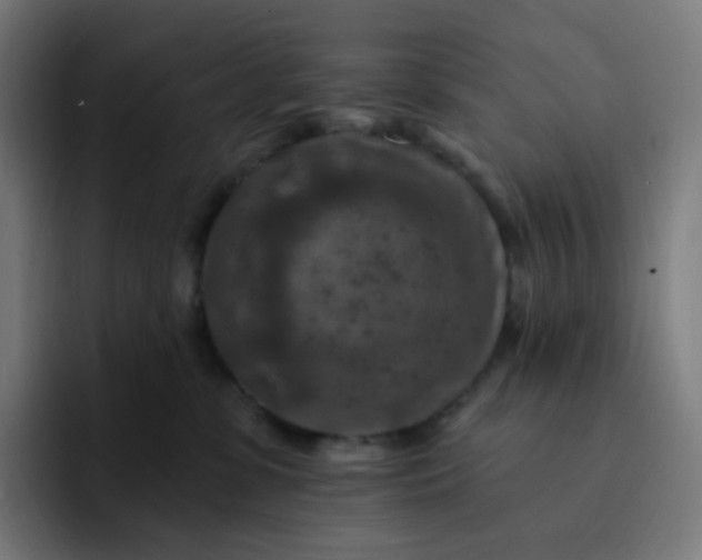 X0000093170331200710101217