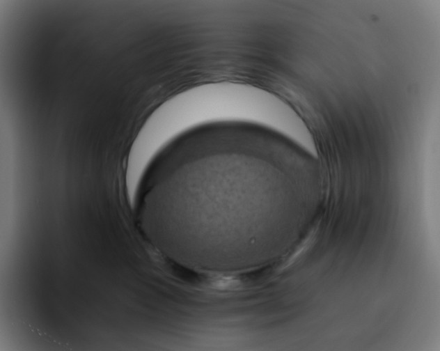 X0000093170333200710101217