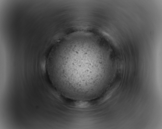 X0000093170334200710101217
