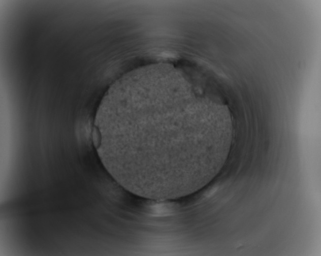 X0000093170336200710101217