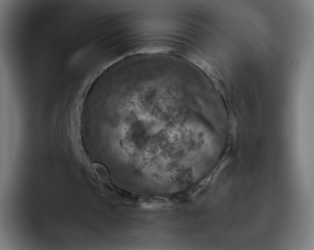 X0000093170337200710101216
