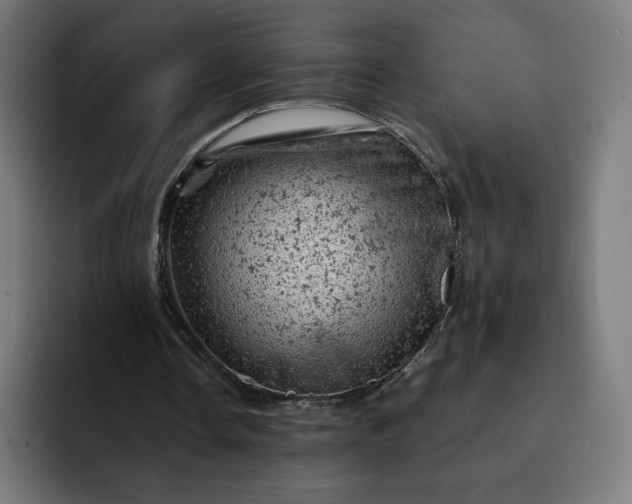 X0000093170338200710101216