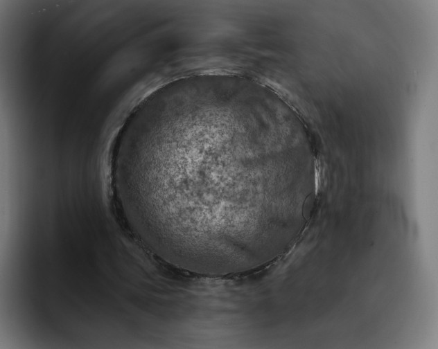 X0000093170339200710101216