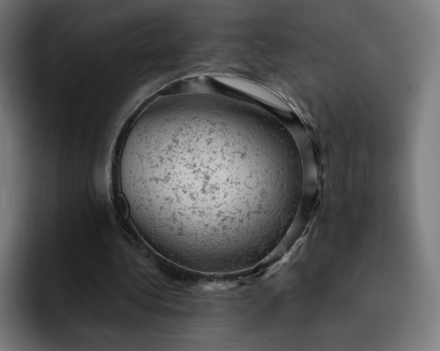 X0000093170340200710101216
