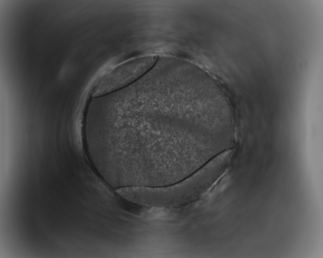 X0000093170341200710101216