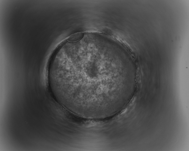 X0000093170343200710101216