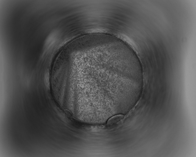 X0000093170345200710101216
