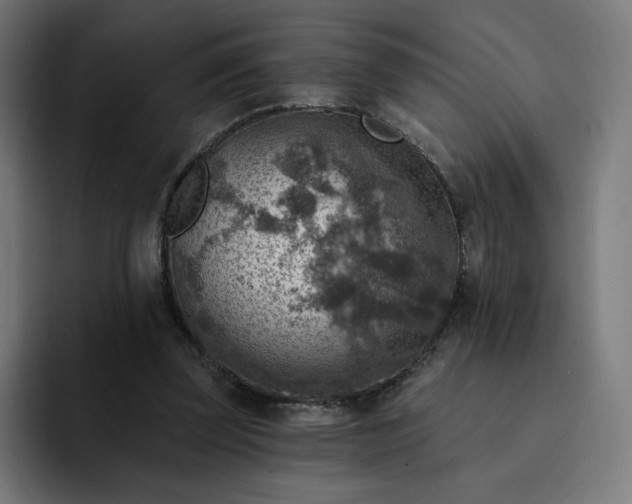 X0000093170347200710101216