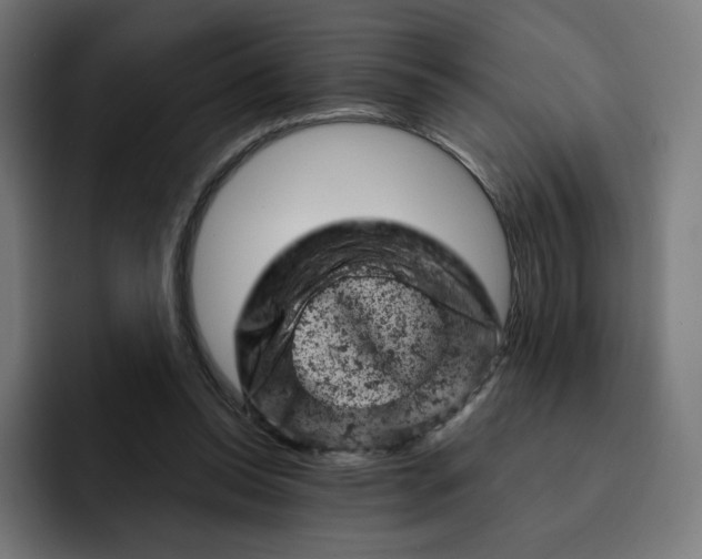 X0000093170350200710101216