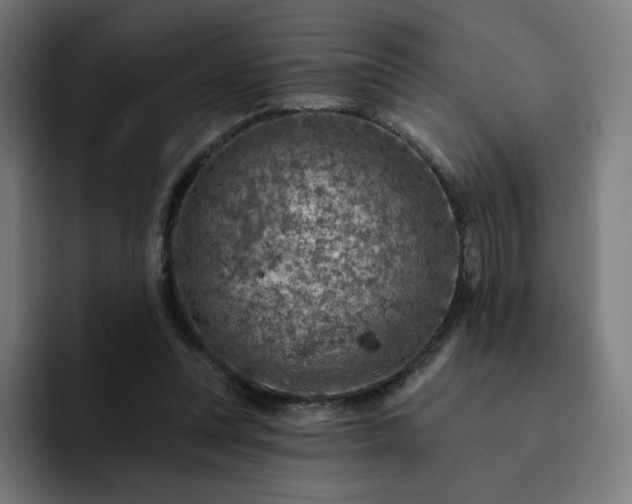 X0000093170351200710101216
