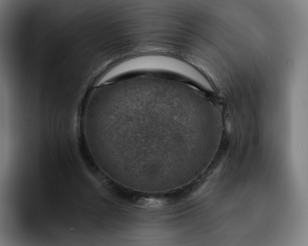 X0000093170352200710101216