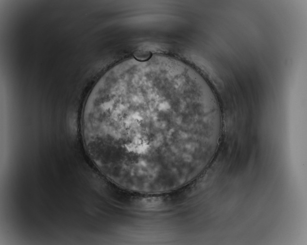 X0000093170353200710101216