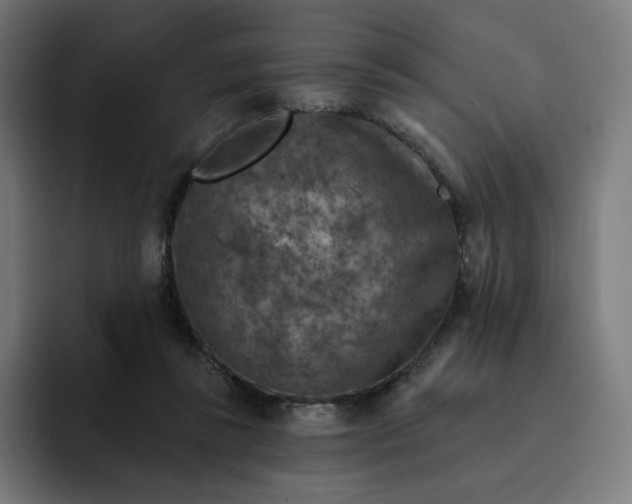 X0000093170355200710101216