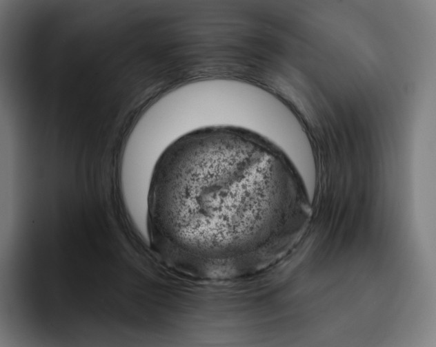 X0000093170356200710101216