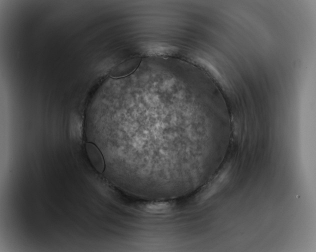 X0000093170357200710101216