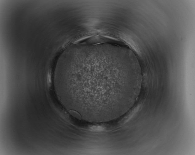 X0000093170358200710101216