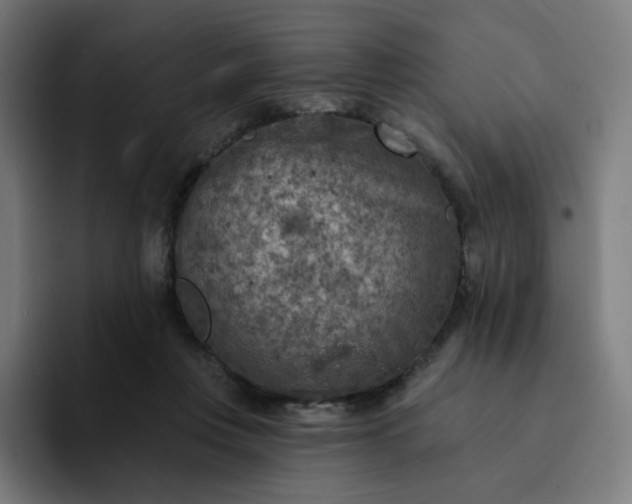 X0000093170359200710101217
