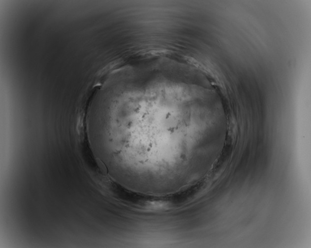 X0000093170360200710101217