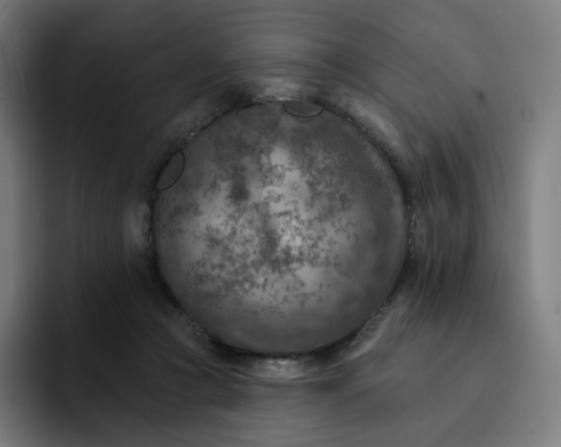 X0000093170361200710101217