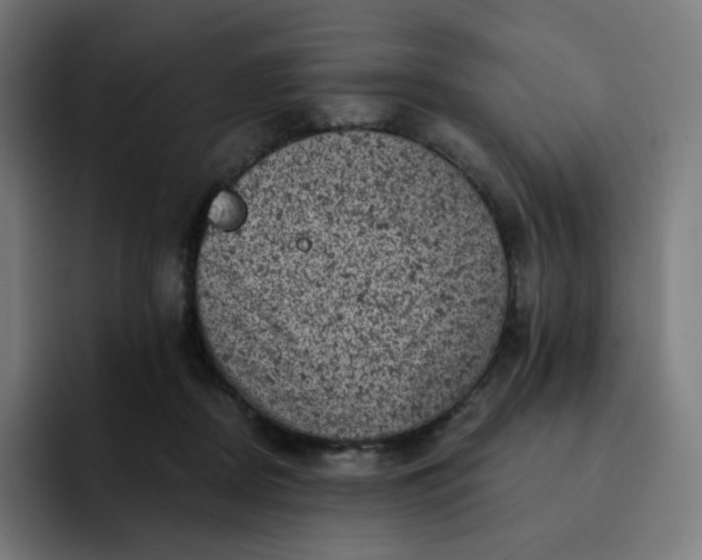 X0000093170362200710101217