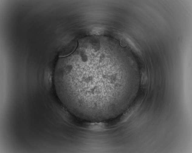 X0000093170363200710101217