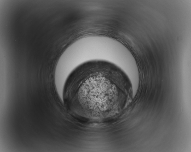 X0000093170364200710101217