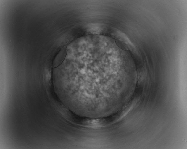 X0000093170365200710101217