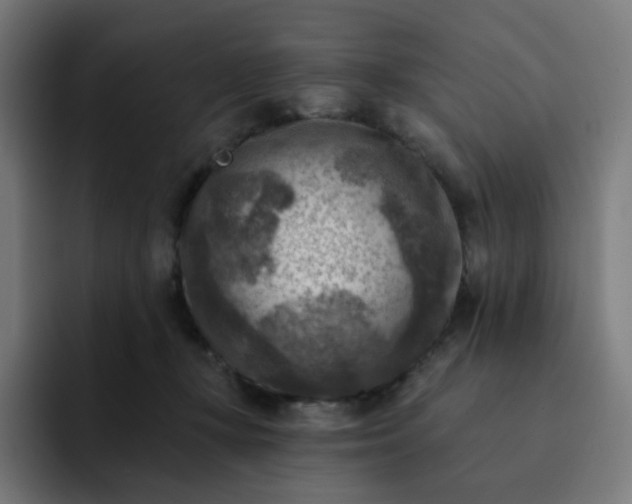 X0000093170367200710101217