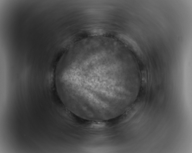 X0000093170369200710101217