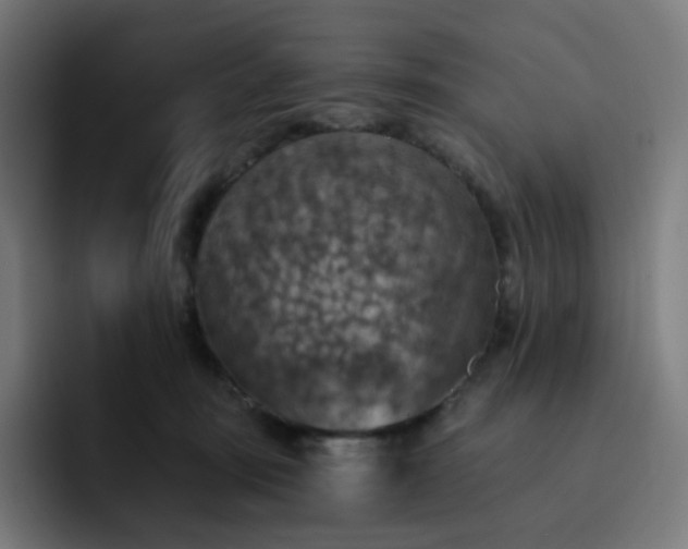 X0000093170371200710101217