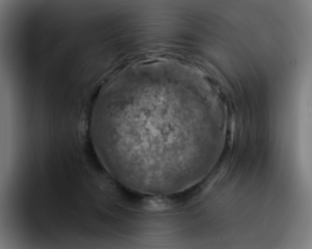 X0000093170372200710101217