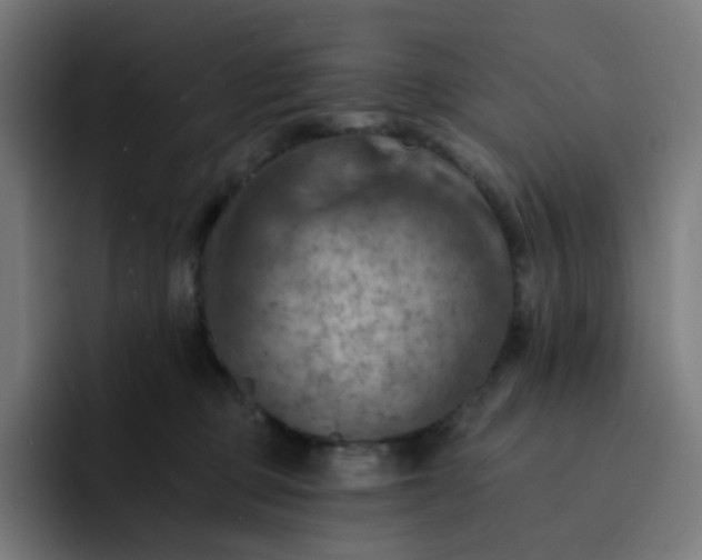X0000093170373200710101217