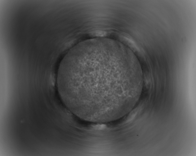 X0000093170374200710101217
