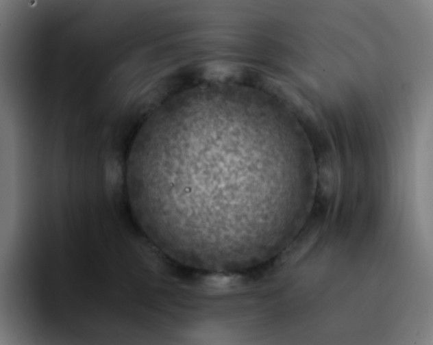 X0000093170375200710101217