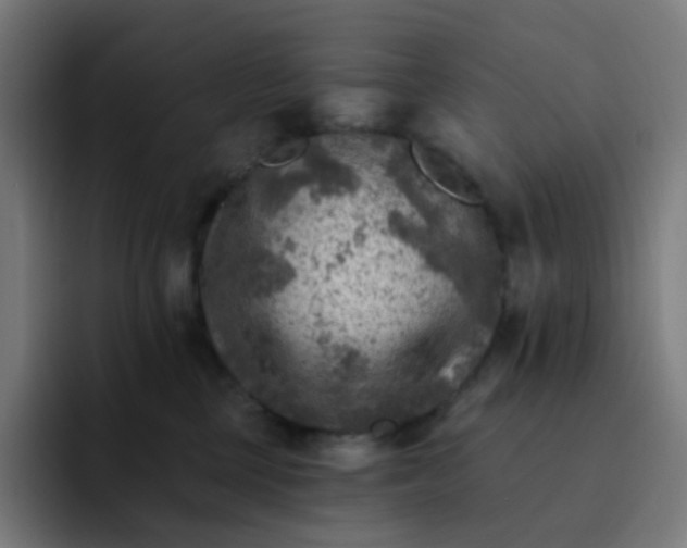 X0000093170377200710101217