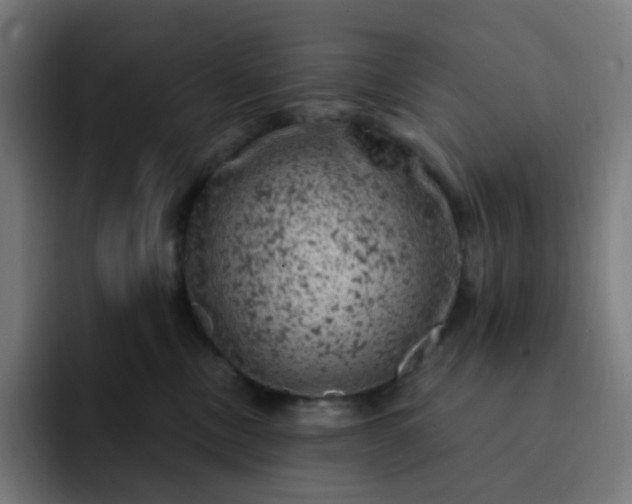 X0000093170378200710101217