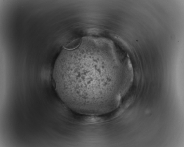 X0000093170379200710101217