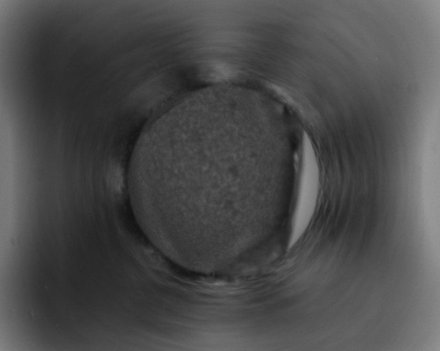 X0000093170380200710101217