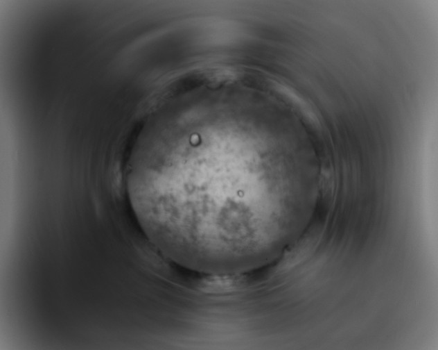 X0000093170381200710101217
