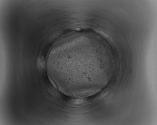 X0000093170384200710101217