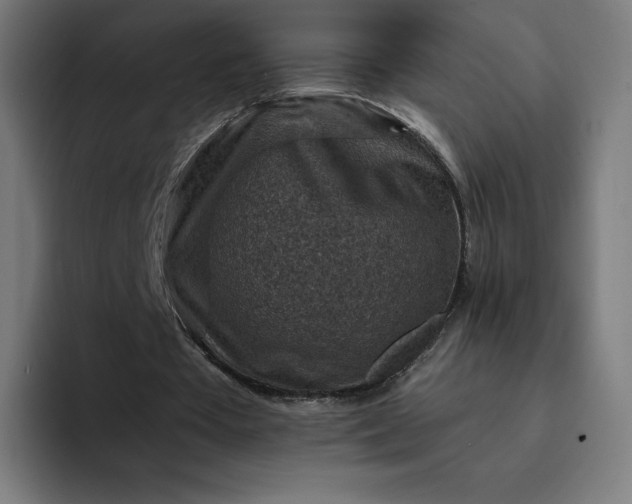 X0000093170385200710101216