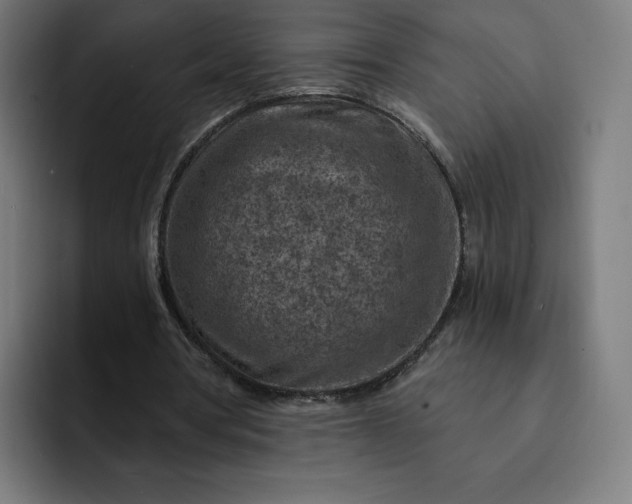 X0000093170386200710101216