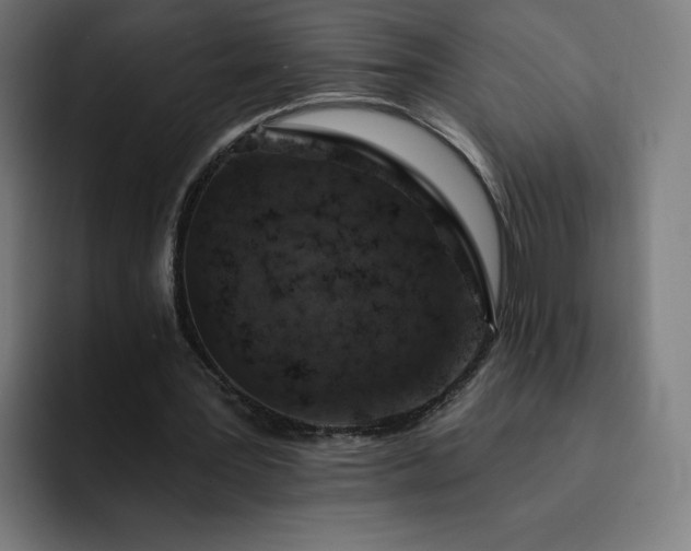 X0000093170387200710101216
